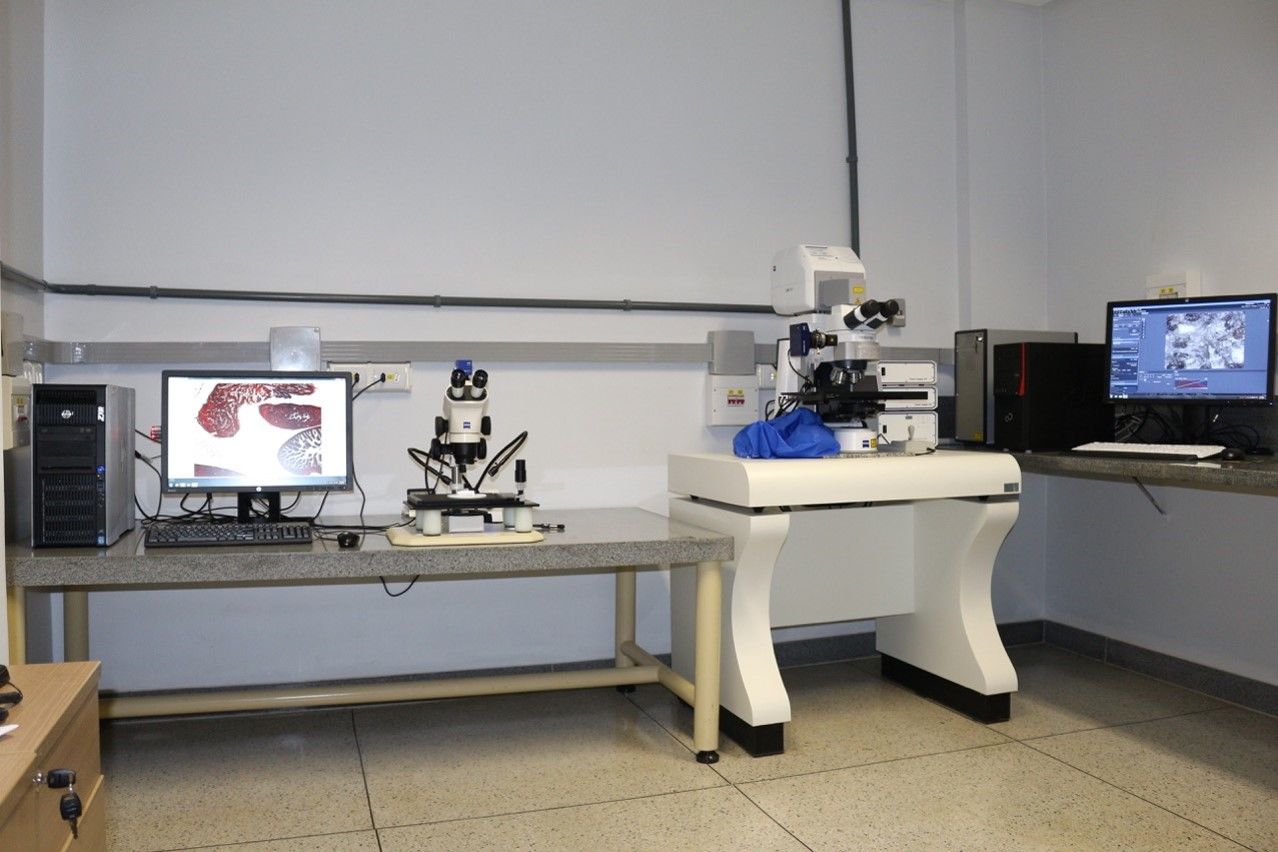 Microsco__pio_Confocal_a_Laser_AXIO_IMAGER_Z2_e_Este__reo_Microsco__pio_O__ptico_ZEISS_STEMI_2000.jpg